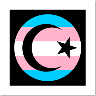 Trans Pride Crescent Posters and Art